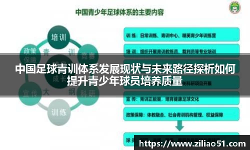 中国足球青训体系发展现状与未来路径探析如何提升青少年球员培养质量