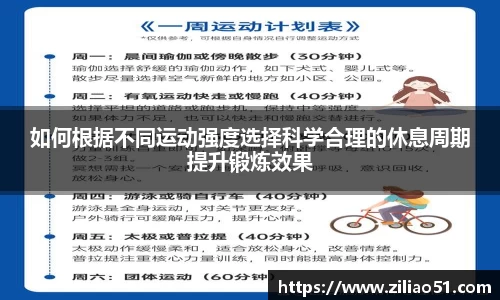 DG视讯官网